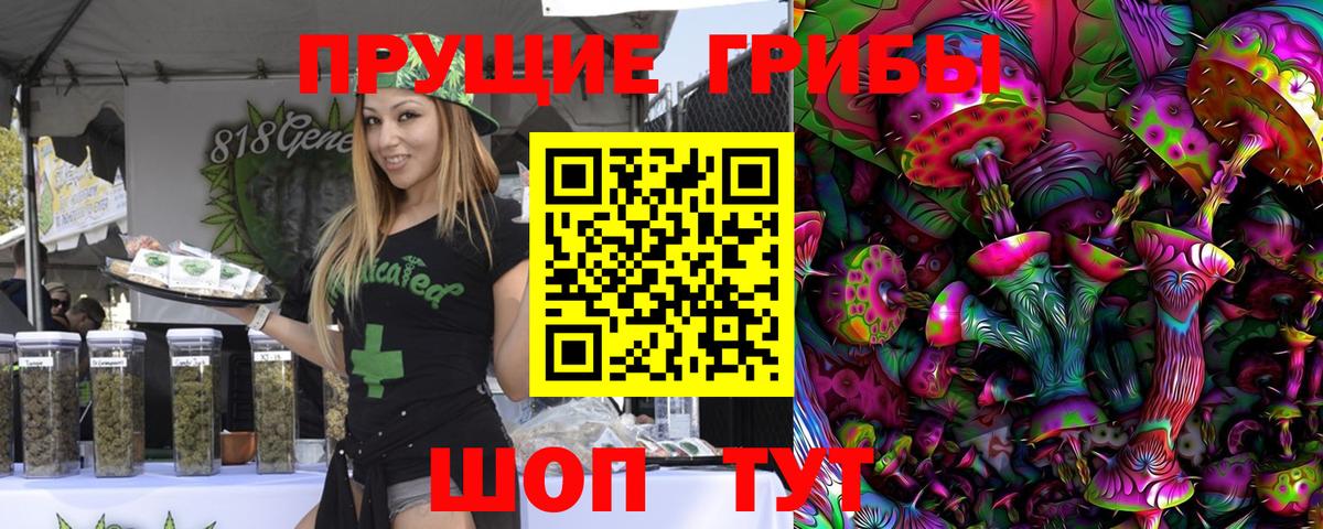 Галлюциногенные грибы Psilocybine cubensis Иваново
